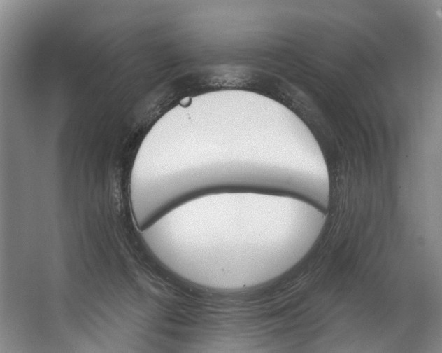 X0000062640312200601041104