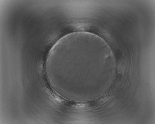 X0000062640314200601041104