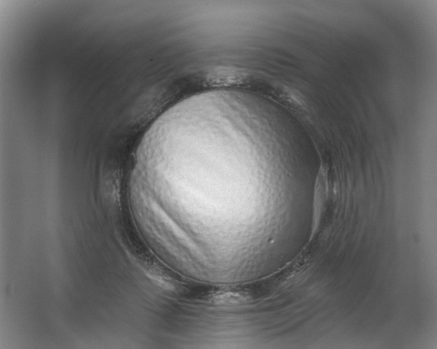 X0000062640315200601041104