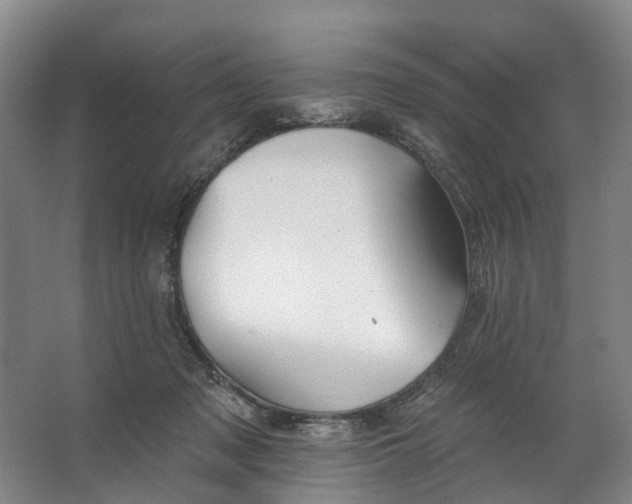 X0000062640317200601041104