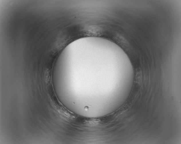 X0000062640318200601041104