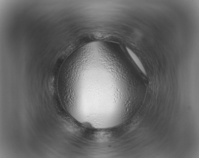 X0000062640319200601041104