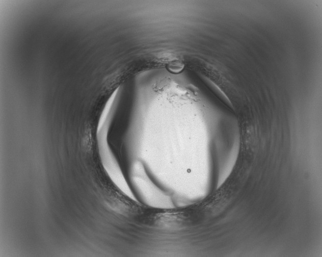 X0000062640320200601041104