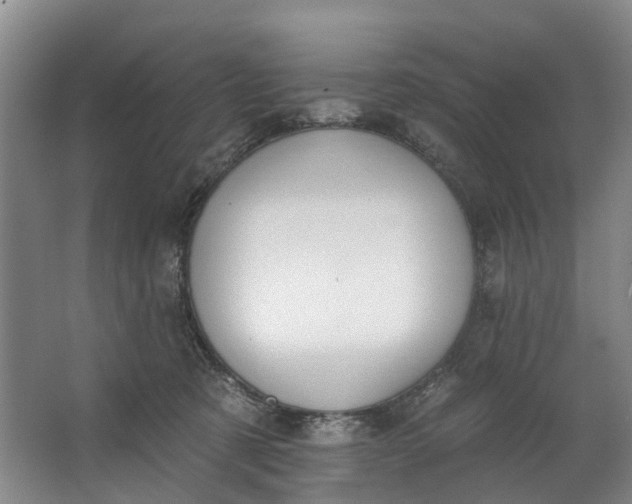 X0000062640321200601041104