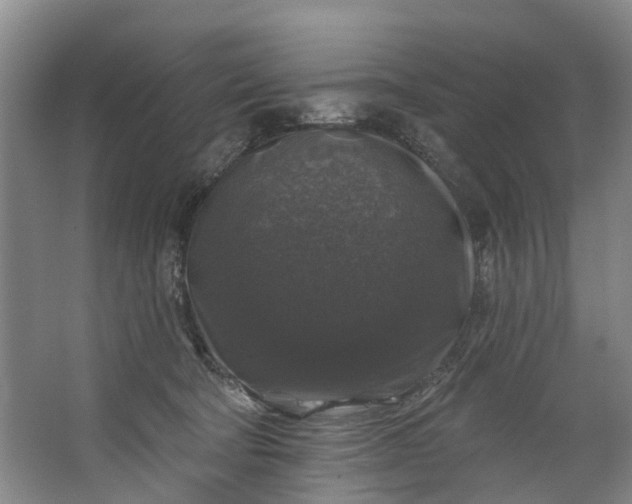 X0000062640322200601041104