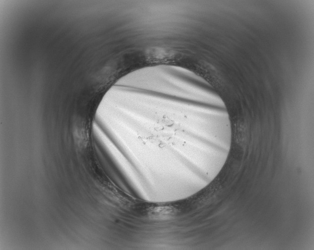 X0000062640324200601041103