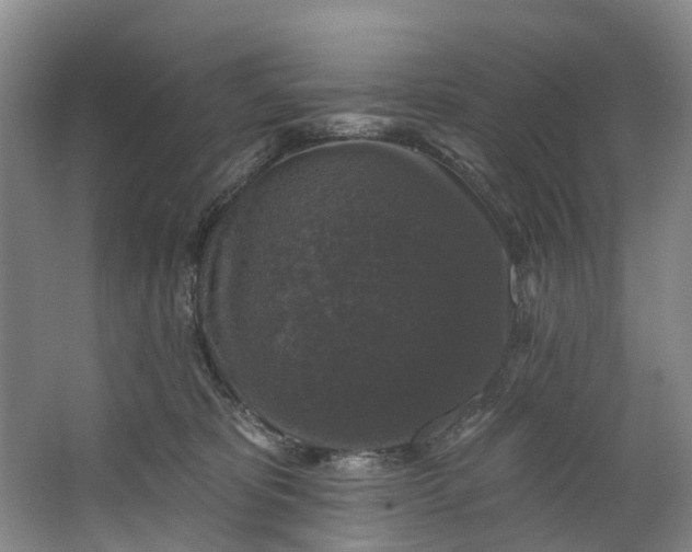 X0000062640325200601041103