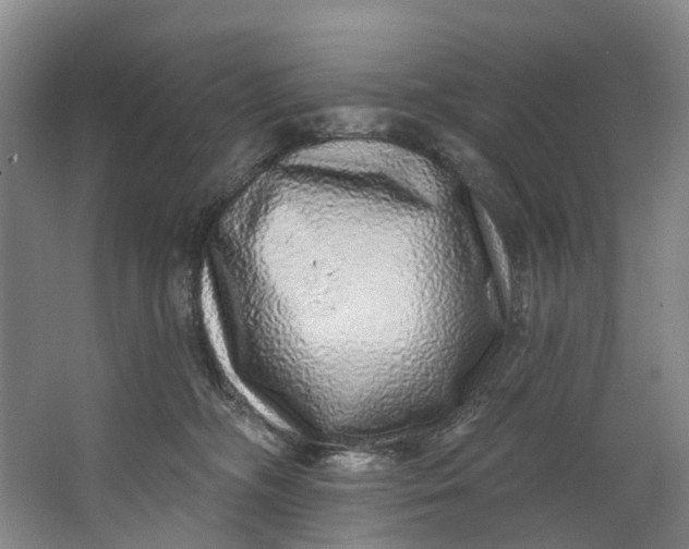 X0000062640326200601041103