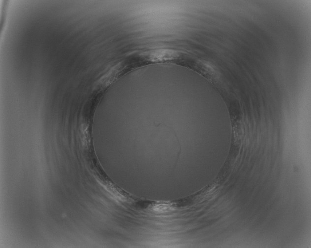 X0000062640327200601041103