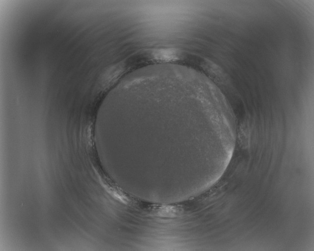 X0000062640330200601041103