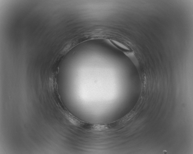 X0000062640333200601041103