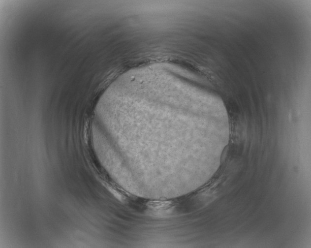 X0000062640334200601041103