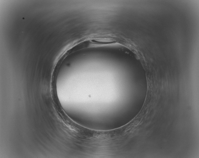 X0000062640340200601041103