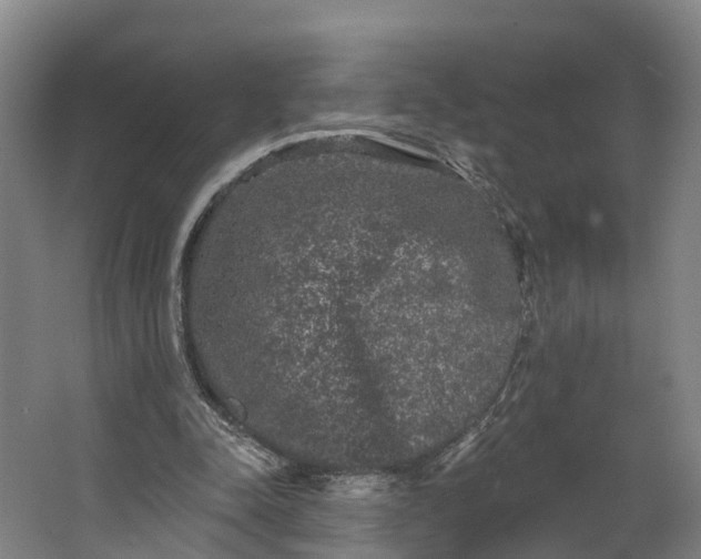 X0000062640342200601041103