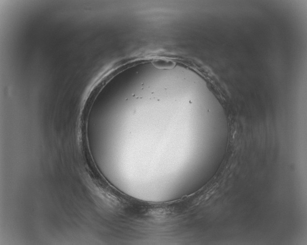 X0000062640344200601041103