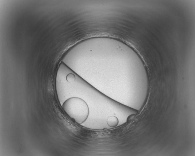 X0000062640345200601041103