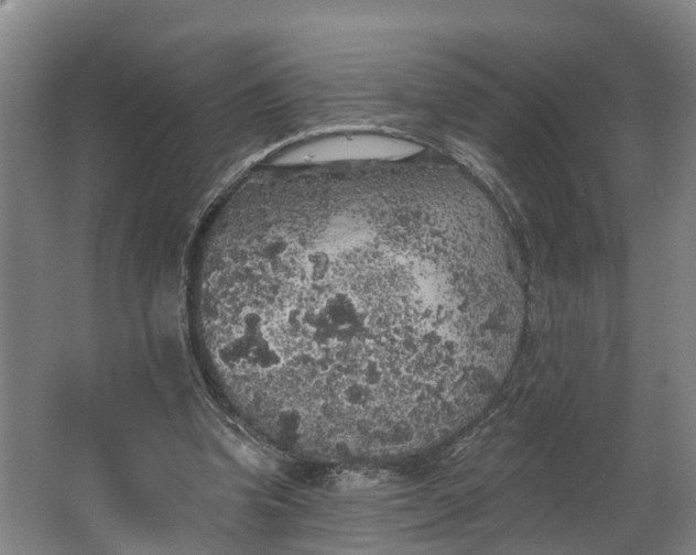 X0000062640346200601041103