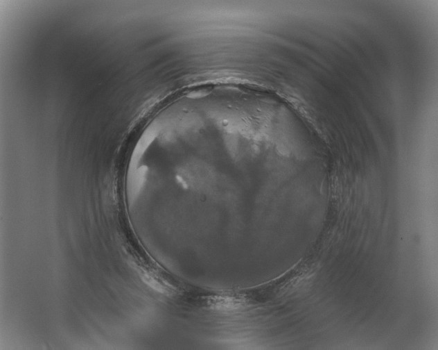 X0000062640347200601041103