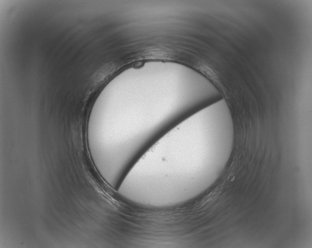 X0000062640349200601041103