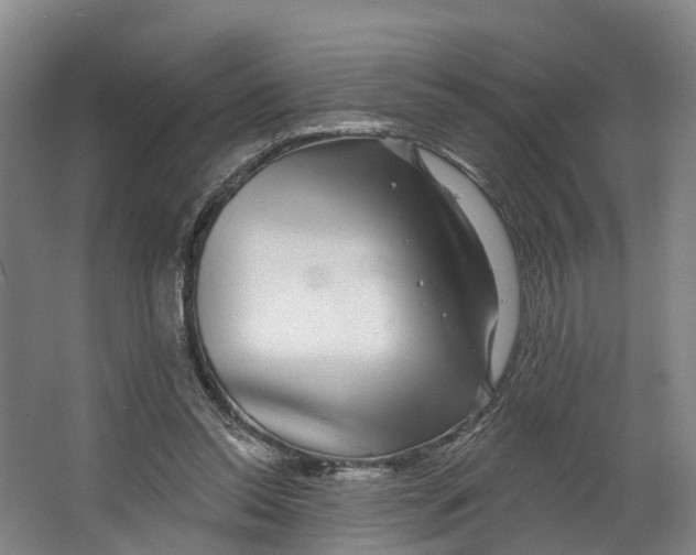 X0000062640350200601041103