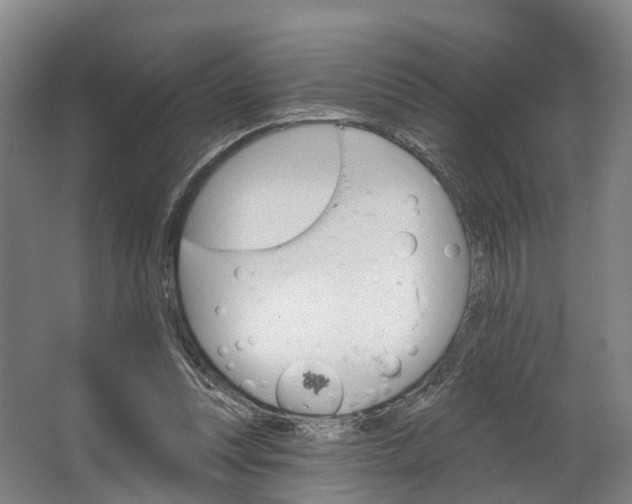 X0000062640351200601041103