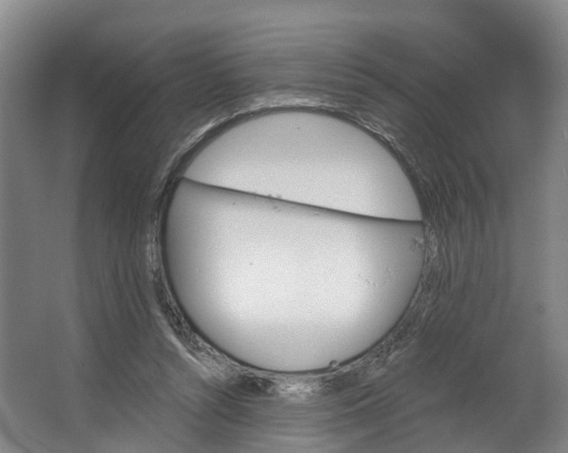 X0000062640352200601041103