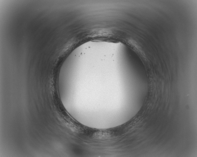 X0000062640354200601041103