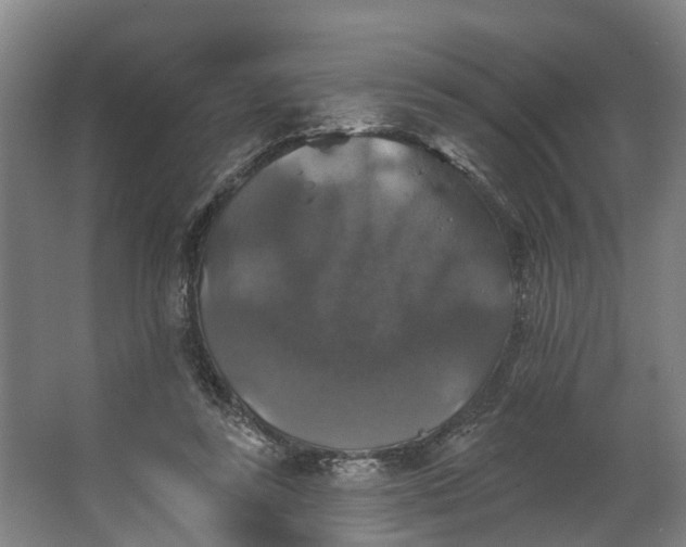 X0000062640355200601041103