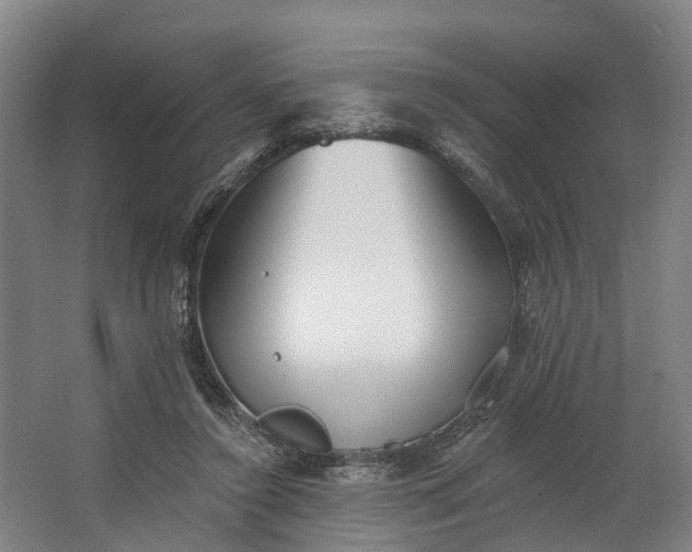 X0000062640356200601041103