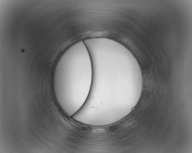 X0000062640357200601041103