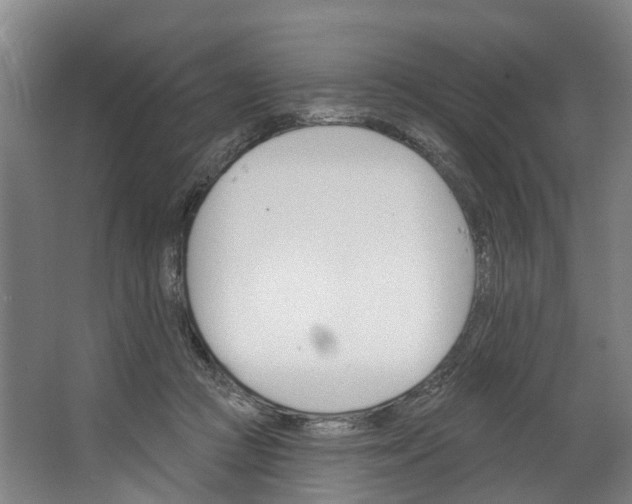 X0000062640361200601041103