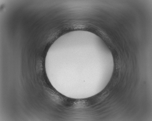 X0000062640362200601041103