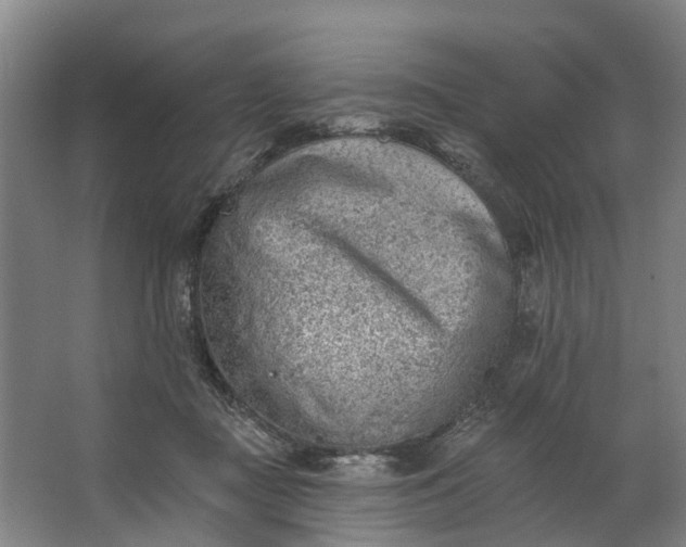 X0000062640363200601041103