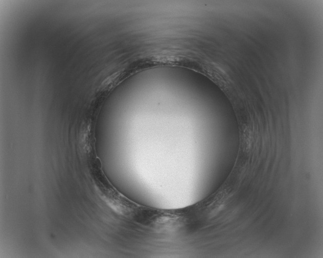 X0000062640364200601041103