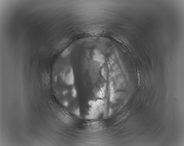 X0000062640365200601041103