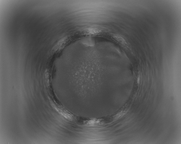 X0000062640366200601041103