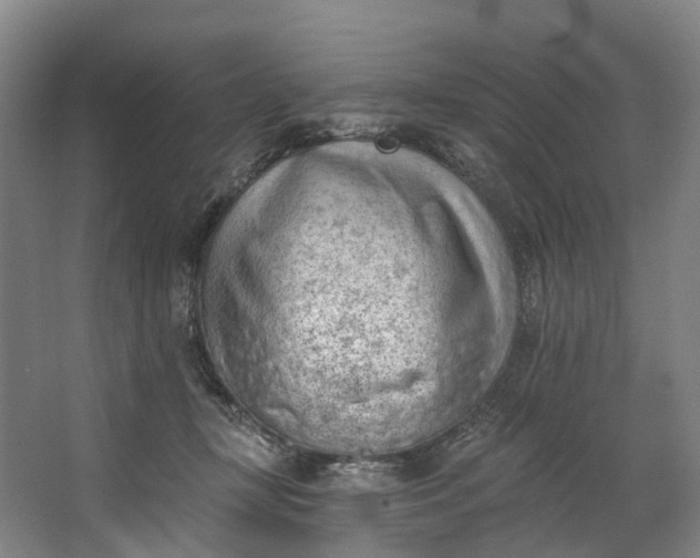 X0000062640367200601041103