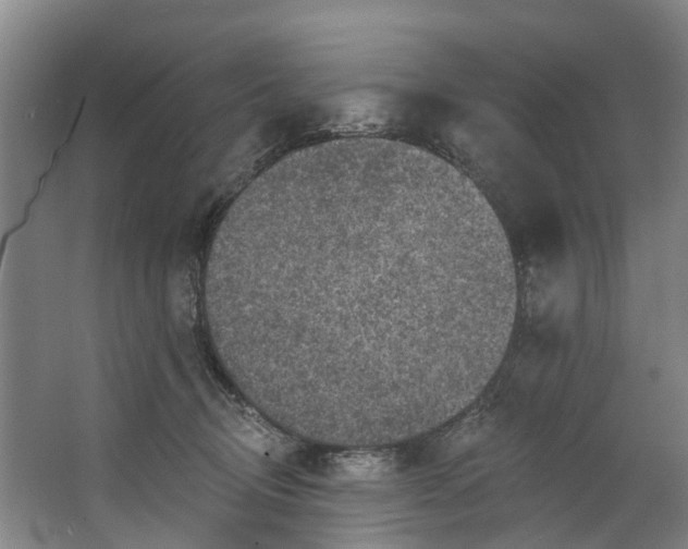 X0000062640370200601041103