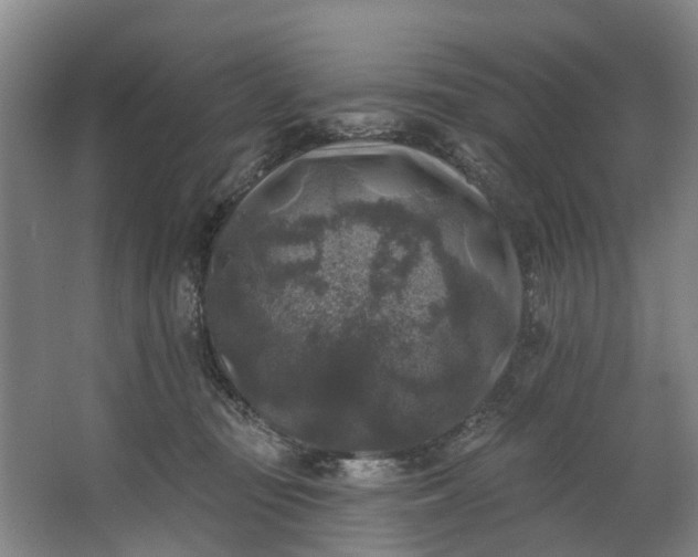 X0000062640371200601041103