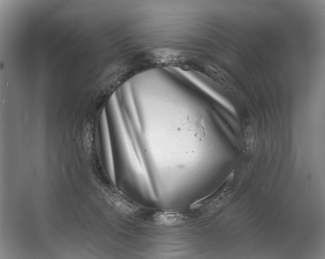 X0000062640372200601041103