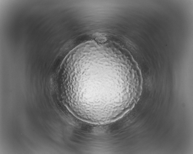 X0000062640373200601041103