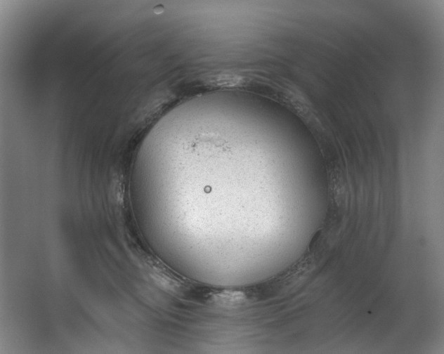 X0000062640374200601041103