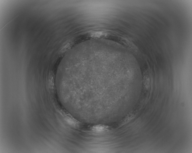 X0000062640375200601041103