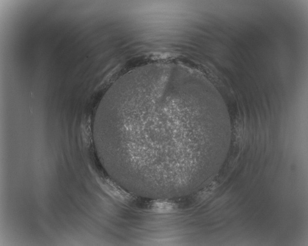 X0000062640376200601041103