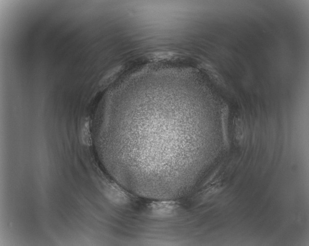 X0000062640378200601041103