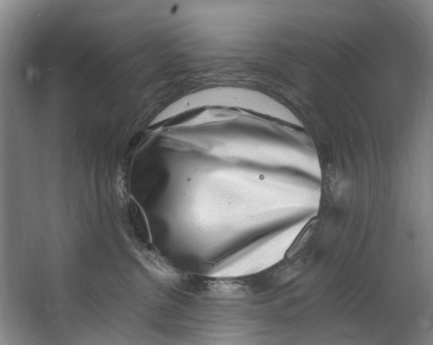 X0000062640380200601041103