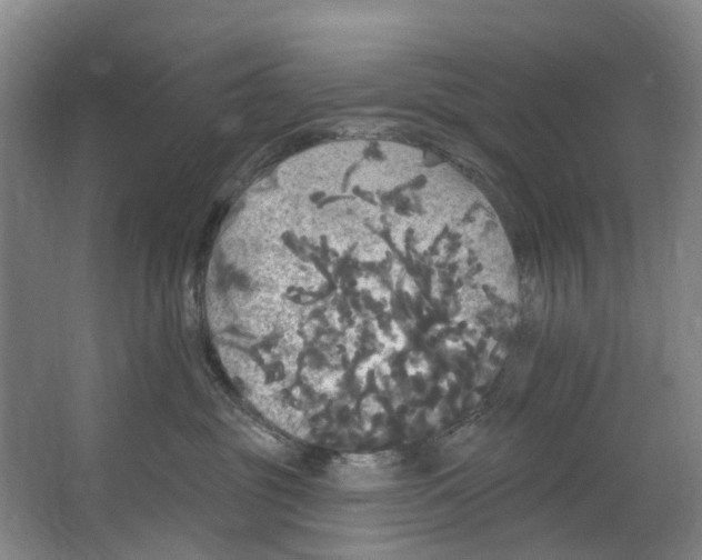 X0000062640381200601041103