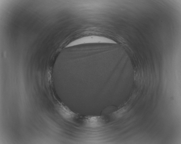 X0000062640382200601041103