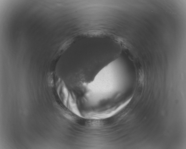 X0000062640383200601041103