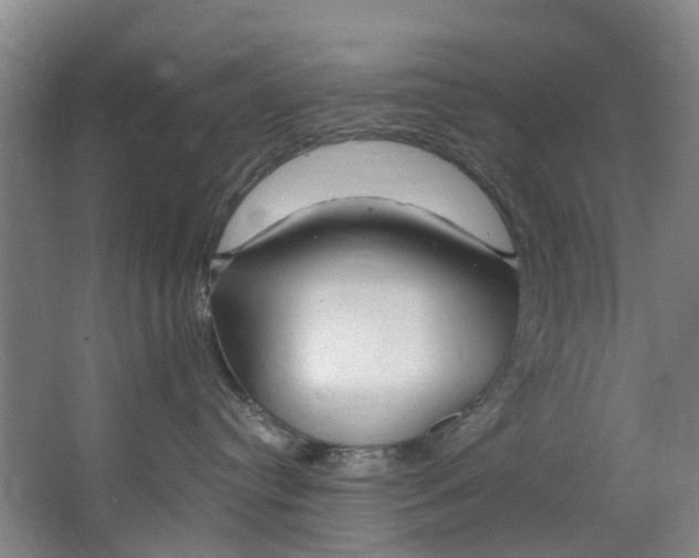 X0000062640384200601041103